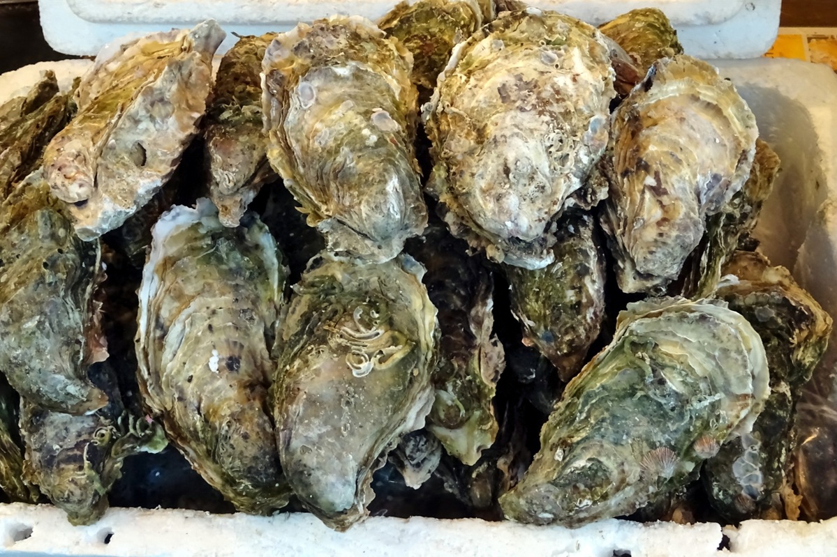 広島牡蠣